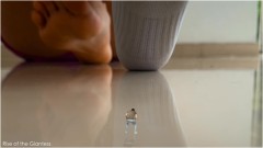 Rise of the Giantess – Giantess Gabriella – A Tiny Man to Squish