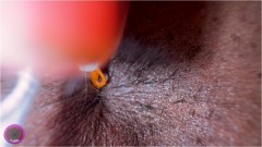 The Cirilla Emporium – Giantess Cirilla Asshole Landlord